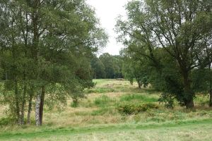 Walton Heath (Old) 2nd Chute